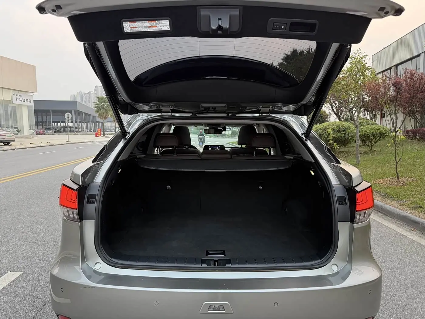 Lexus RX 2020 — Photo 17/18