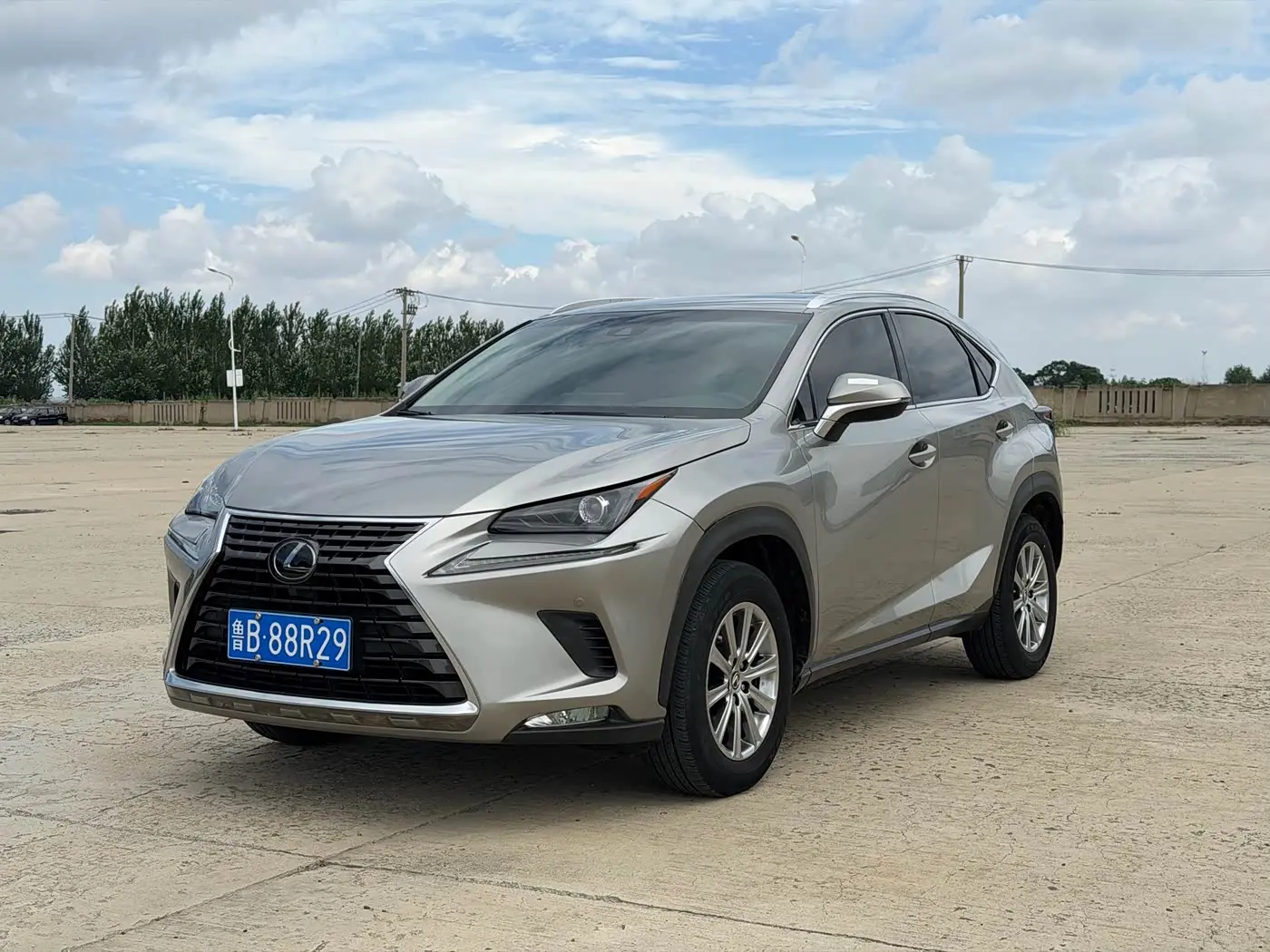 Lexus NX 2019 — Photo 1/18