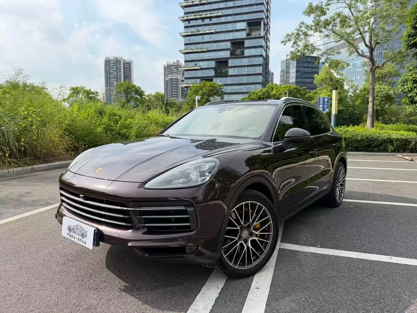 Porsche Cayenne, 2020