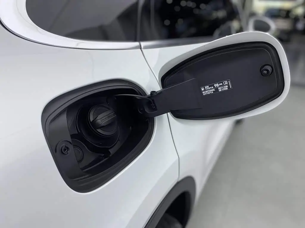 Porsche Cayenne New Energy 2021 — Photo 12/20