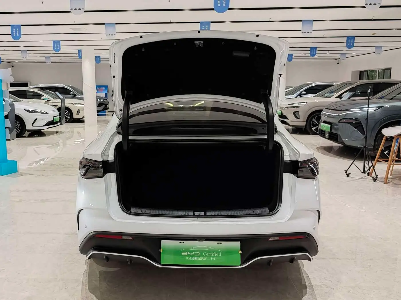 BYD Seal 06 New Energy 2025 — Photo 15/16