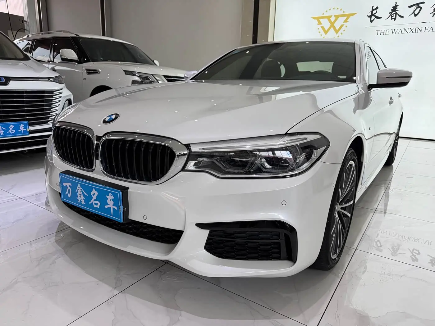 BMW 5 Series 2020 — ფოტო 1/19