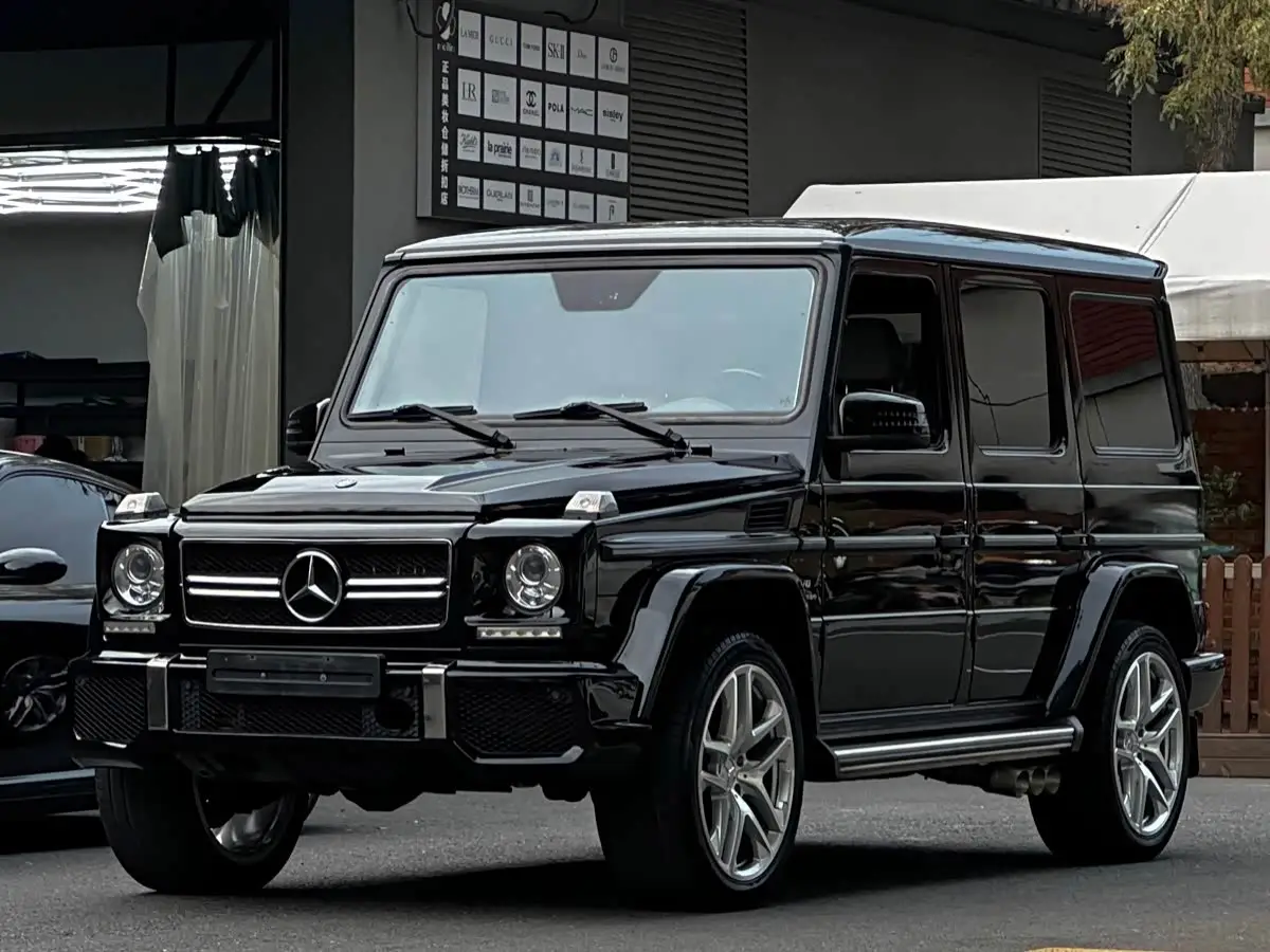 Mercedes-Benz G-Class, 2010