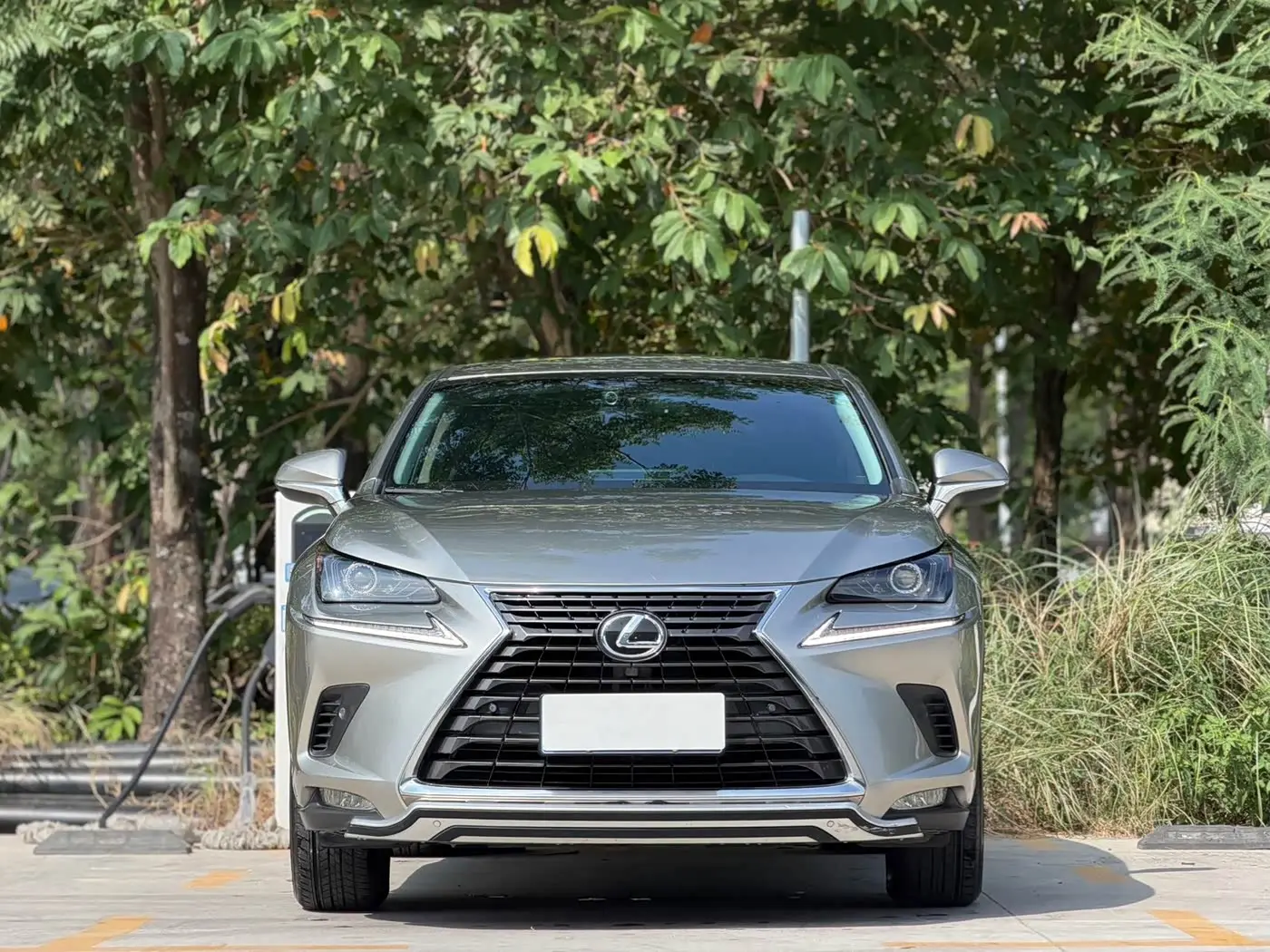 Lexus NX 2018 — Фото 2/17