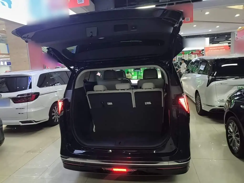 Buick GL8 New Energy 2025 — Photo 19/20