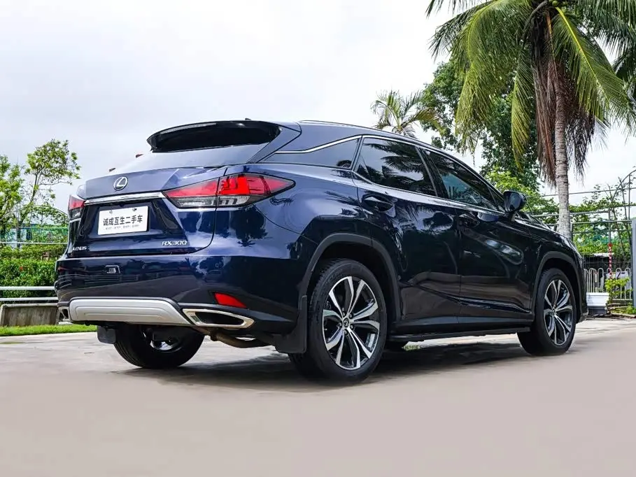 Lexus RX 2022 — Photo 6/20