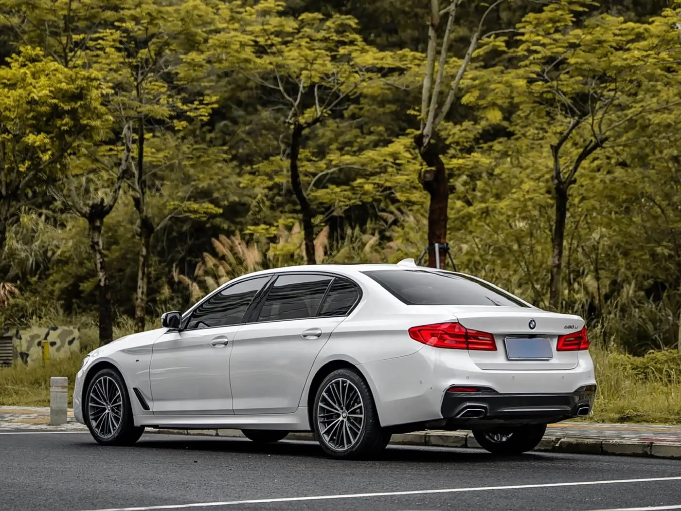 BMW 5 Series 2019 — Şəkil 3/14