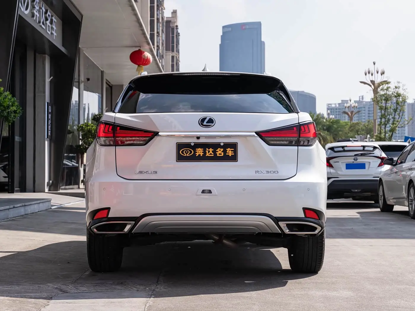 Lexus RX 2021 — Photo 5/20