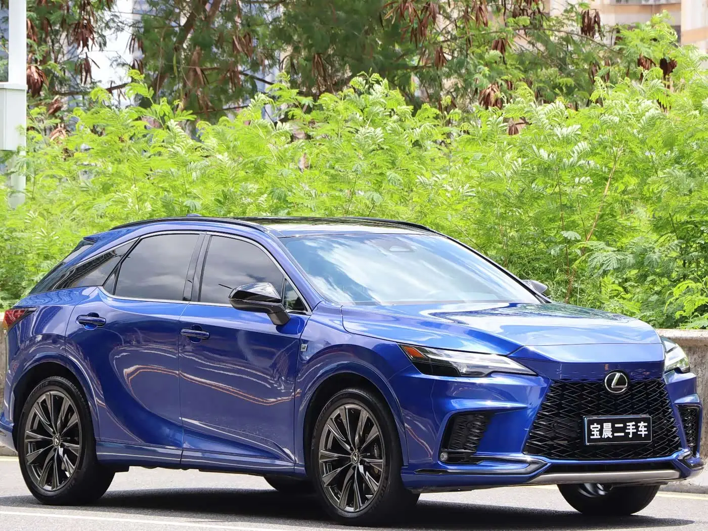 Lexus RX 2023 — Photo 3/20
