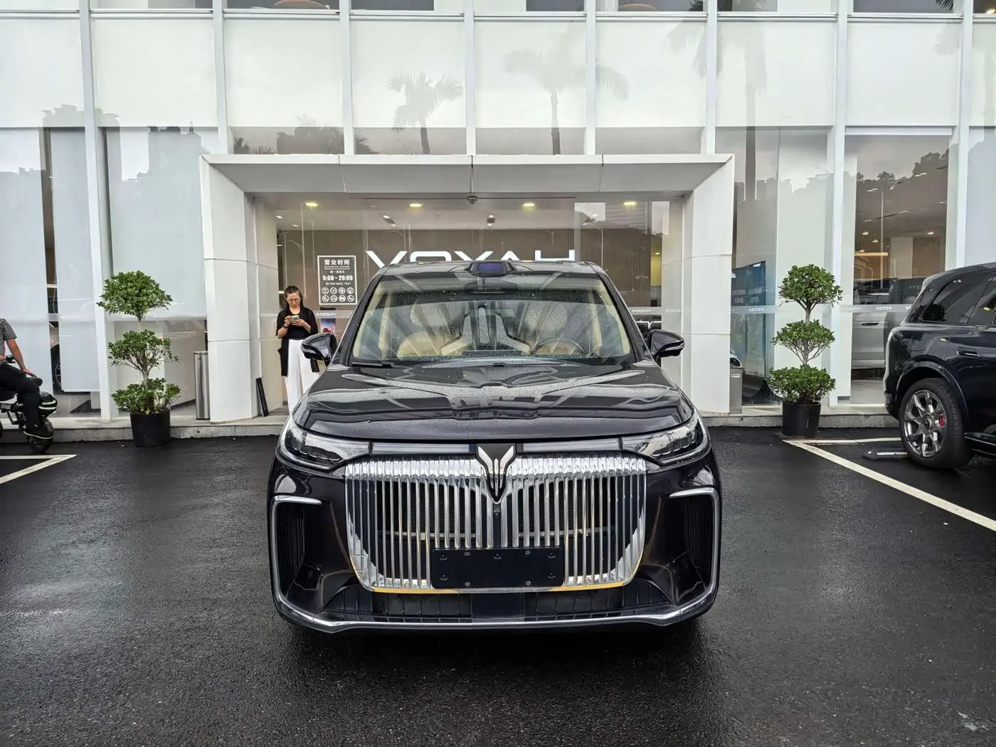 Voyah Auto Voyah Dreamer 2025 — ფოტო 2/20