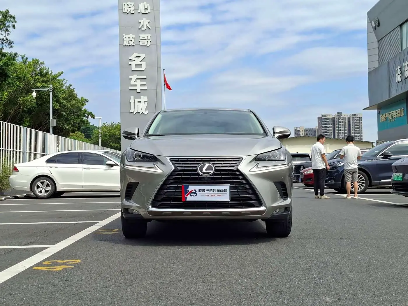 Lexus NX 2021 — Фото 2/20