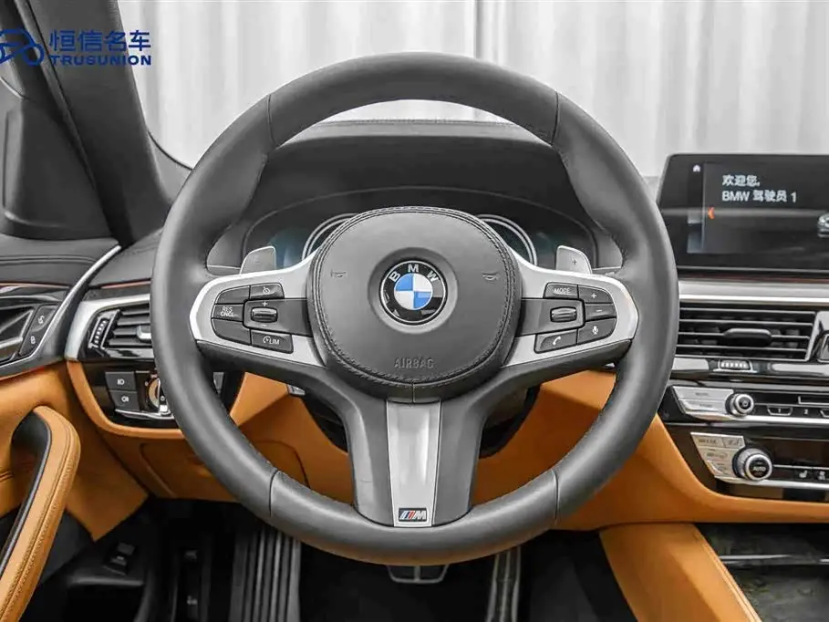 BMW 5 Series 2019 — Photo 17/20