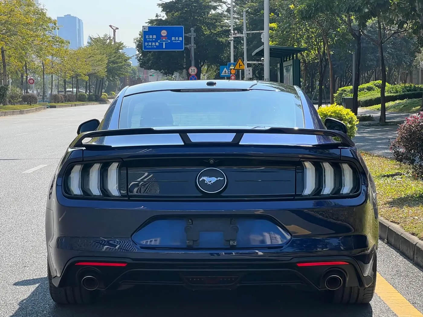 Ford Mustang 2020 — Photo 16/17