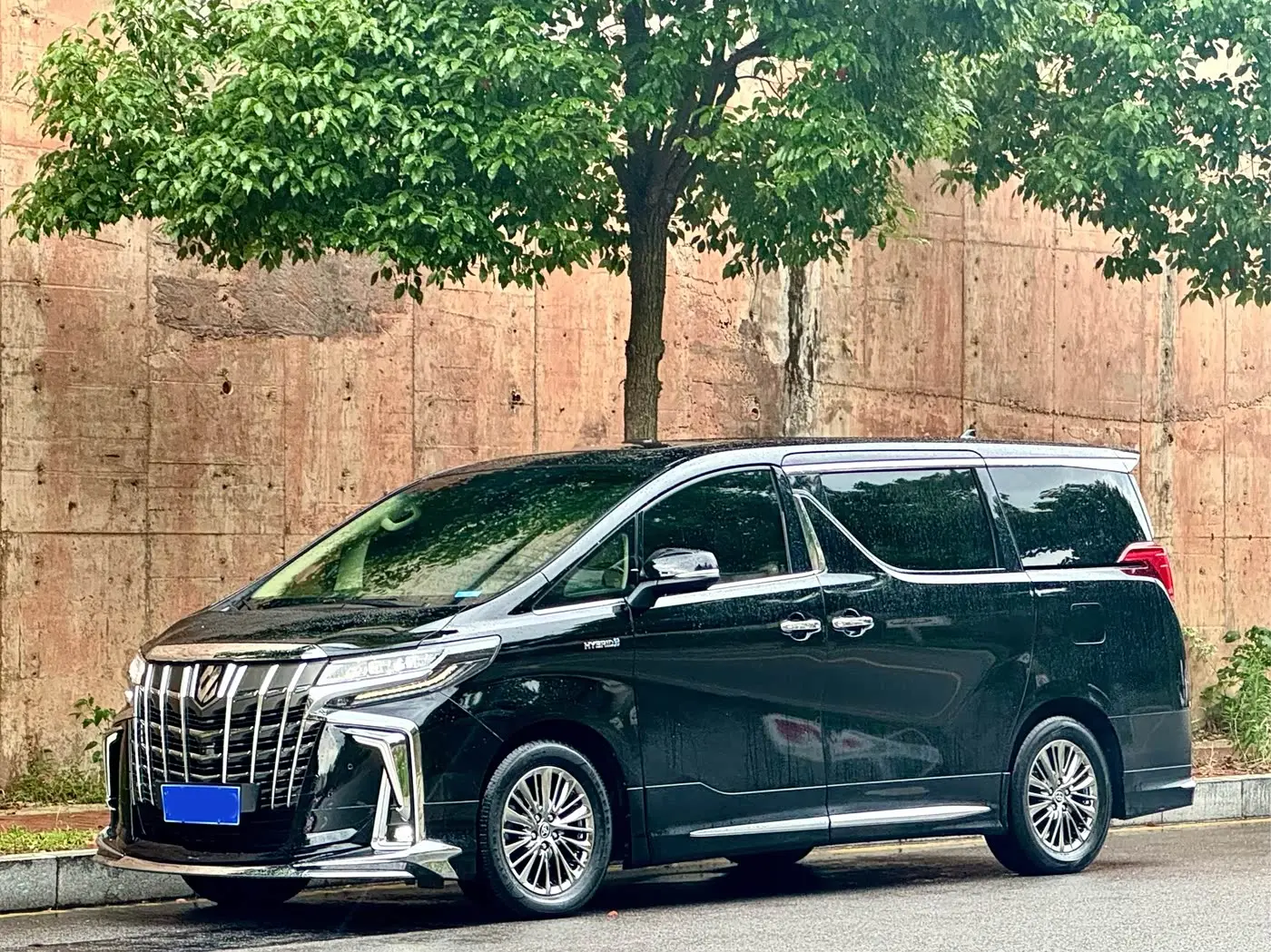 Toyota Alphard 2020 — Şəkil 1/13