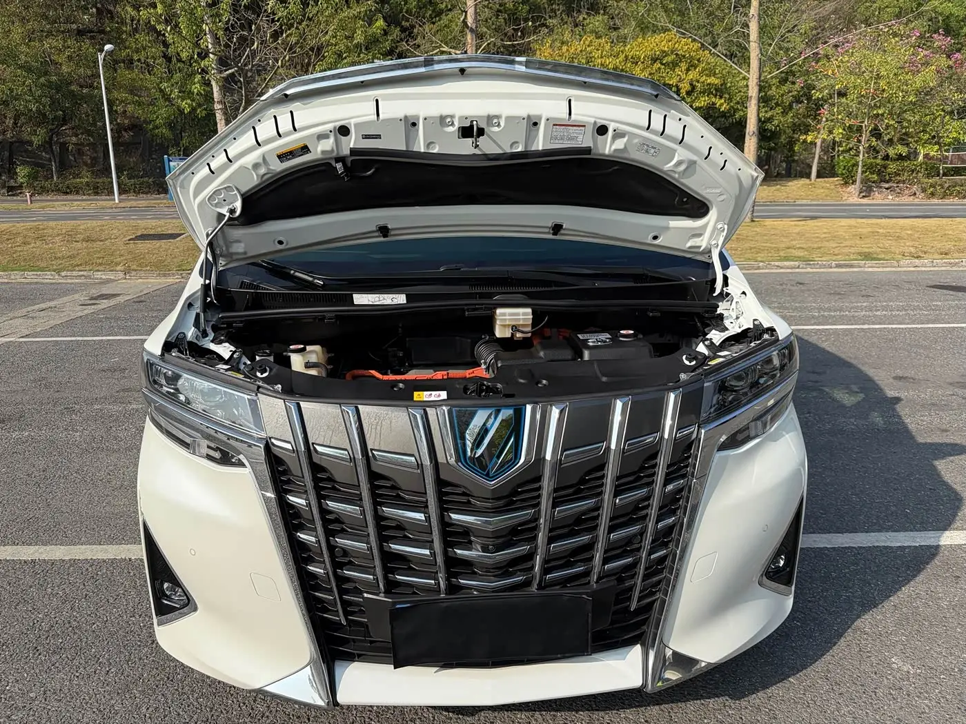 Toyota Alphard 2022 — Фото 14/20