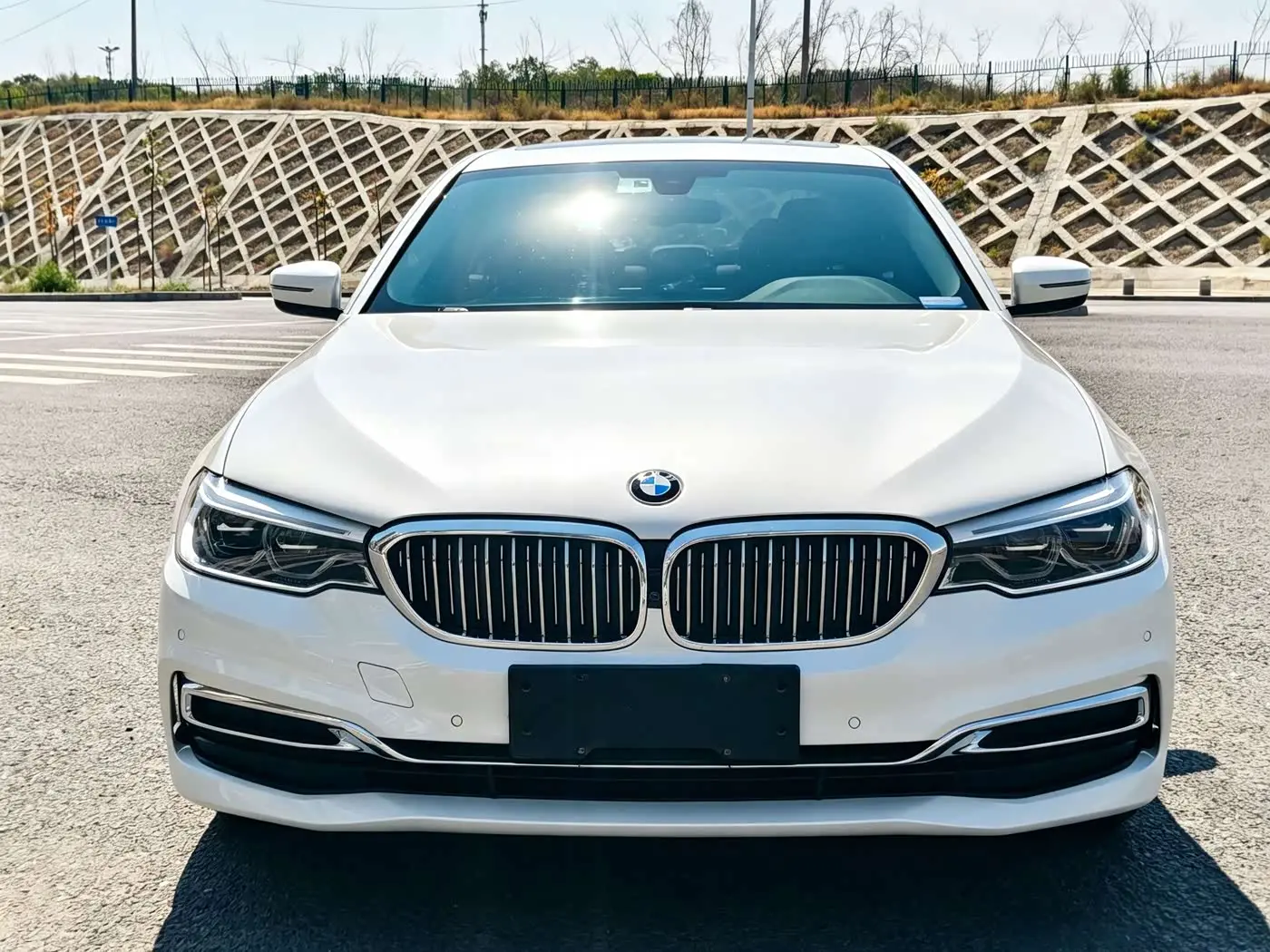 BMW 5 Series 2020 — Photo 2/15