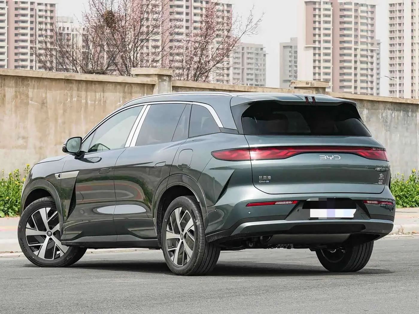 BYD Tang L 2025 — Фото 2/8