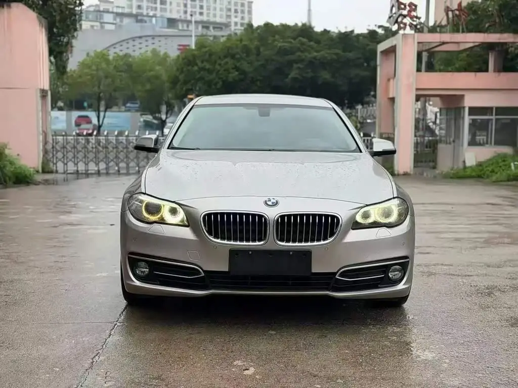 BMW 5 Series 2017 — Фото 2/9