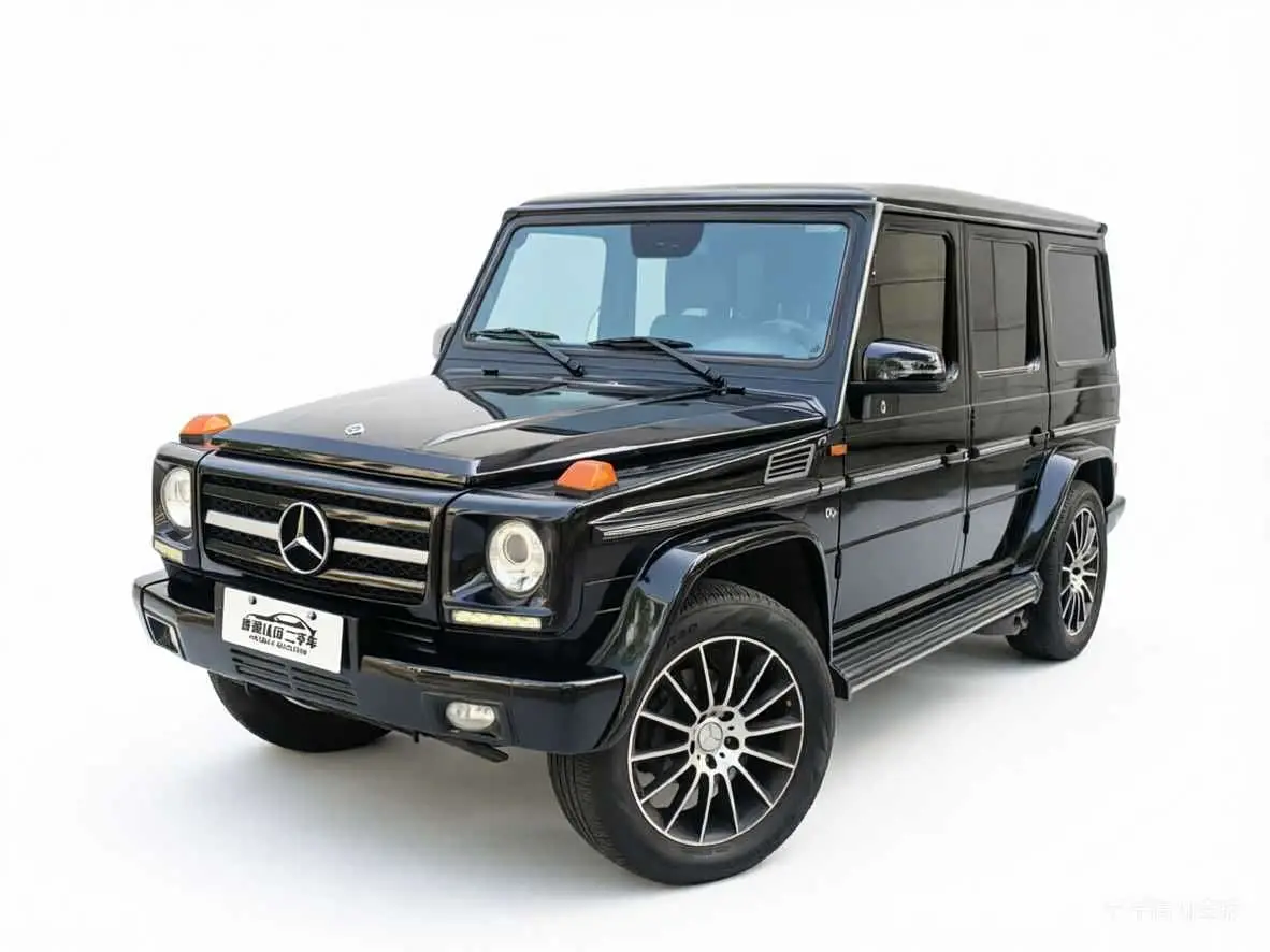 Mercedes-Benz G-Class 2010 — Фото 1/15