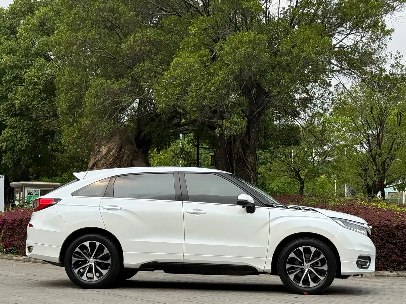 Honda Avancier 2018 — Фото 4/20