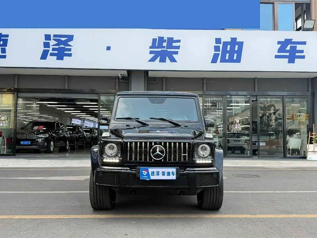 Mercedes-Benz G-Class 2017 — Photo 2/14
