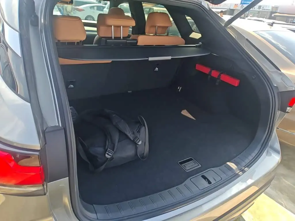 Lexus RX 2024 — Photo 18/19