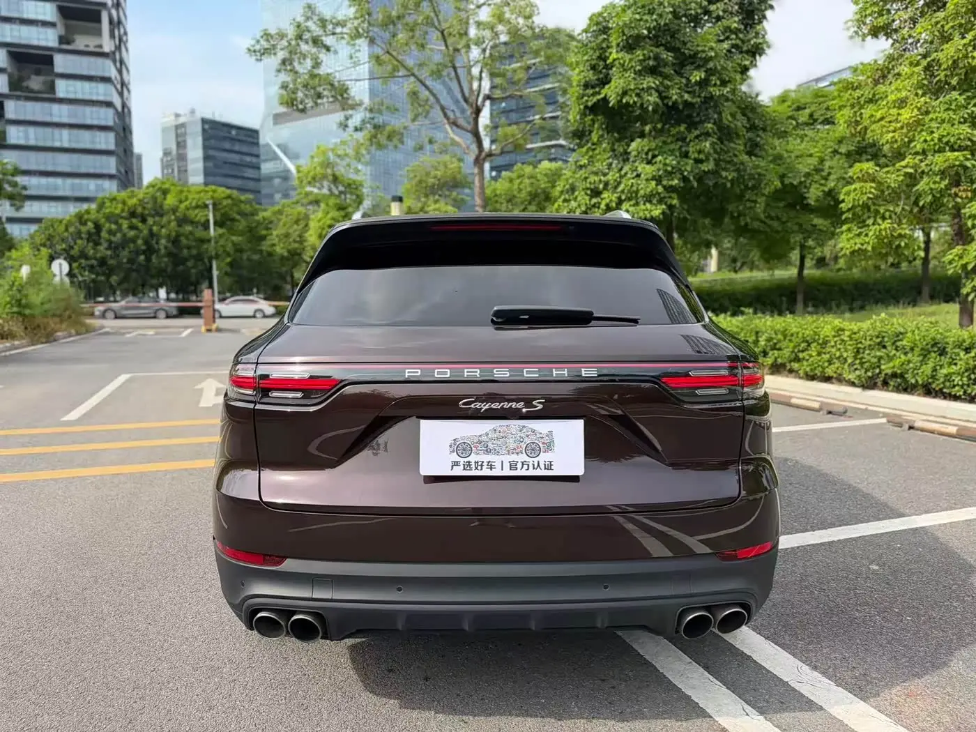 Porsche Cayenne 2020 — Photo 8/20