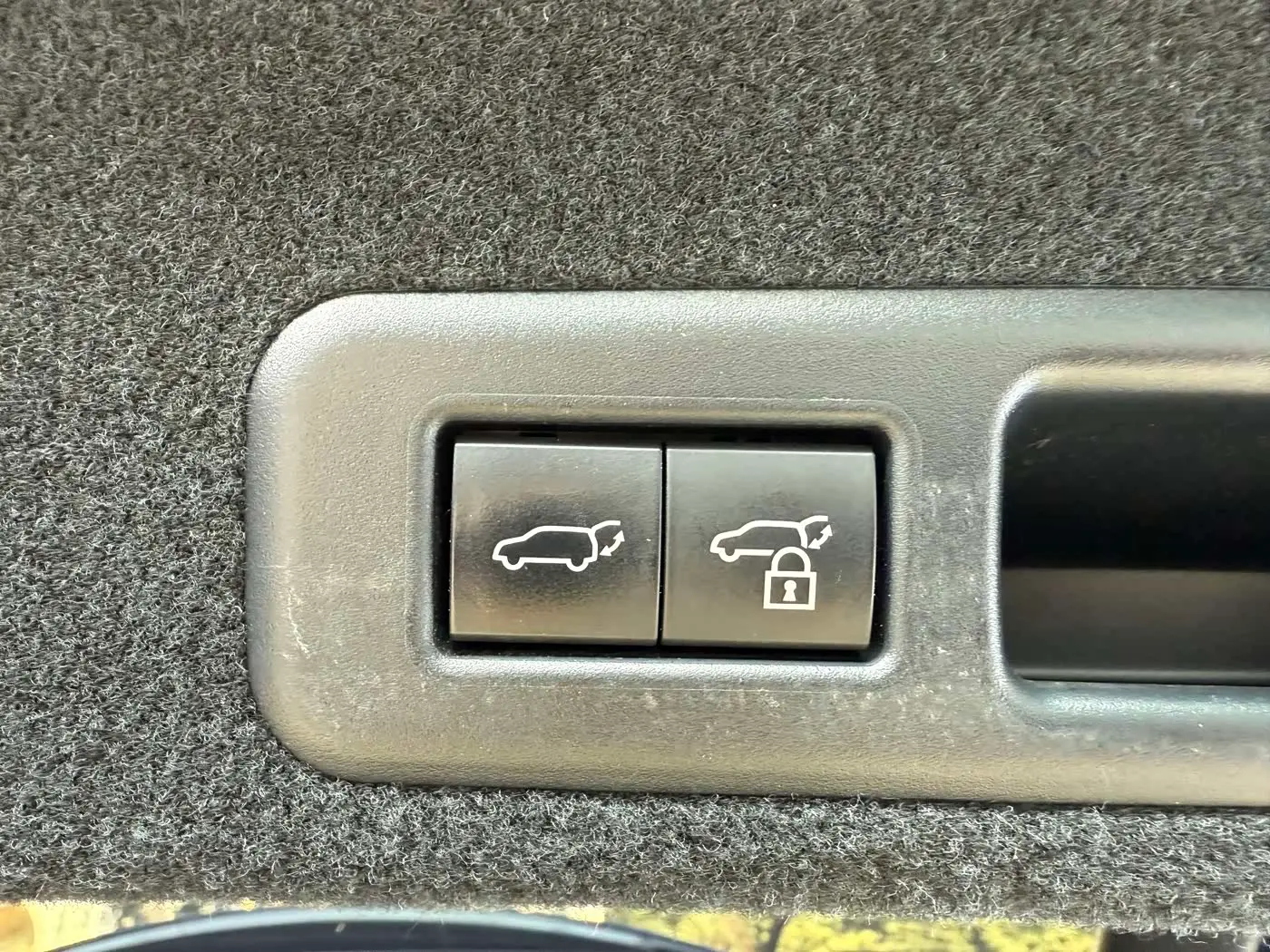 Lexus RX 2022 — ფოტო 16/19