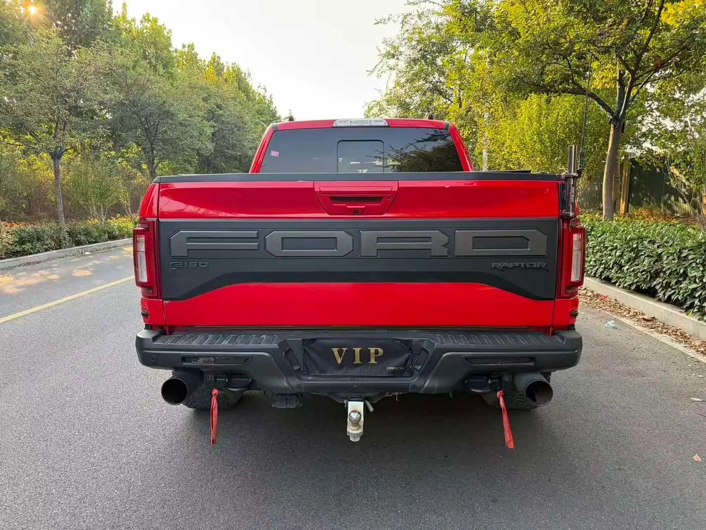 Ford F-150 Raptor 2019 — Фото 4/8