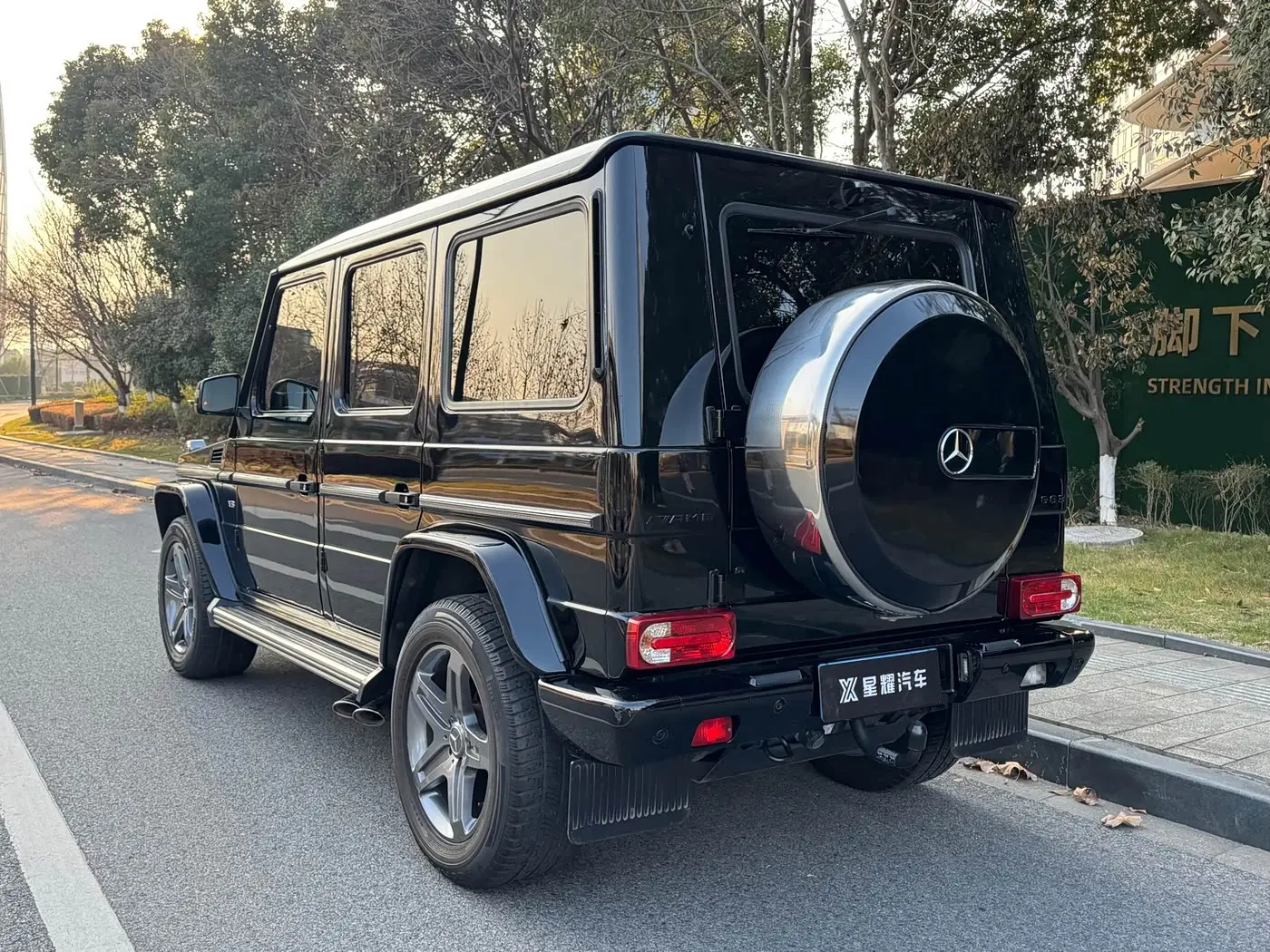 Mercedes-Benz G-Class 2016 — Фото 5/12