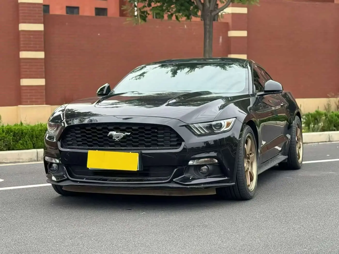 Ford Mustang, 2019
