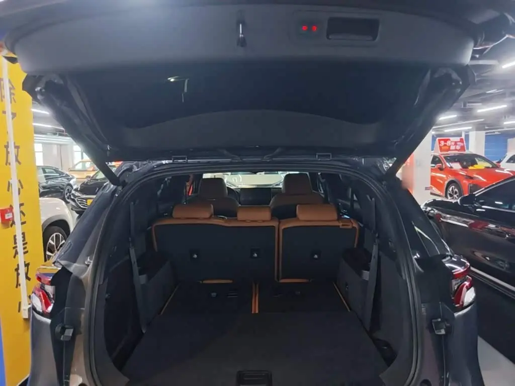 BYD Tang New Energy 2024 — Photo 19/20