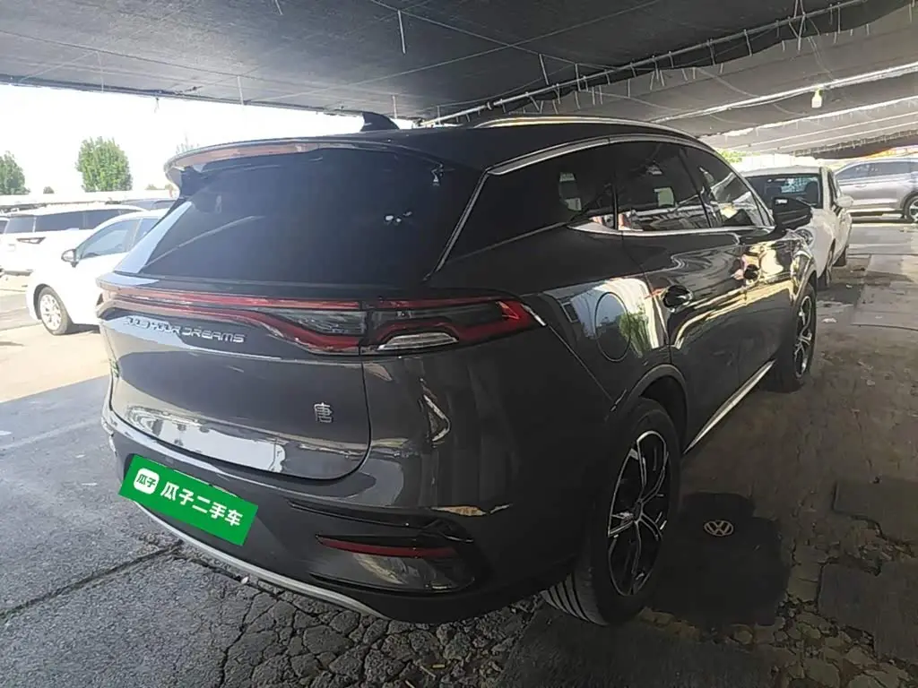 BYD Tang New Energy 2022 — Photo 7/20