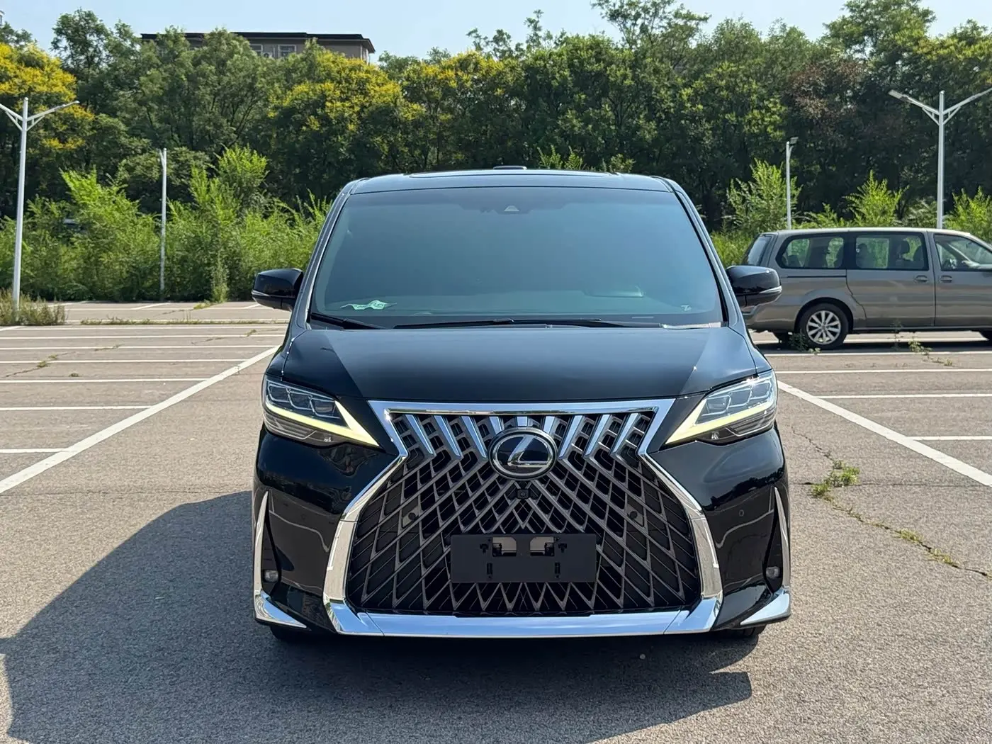 Lexus LM 2020 — Photo 2/20