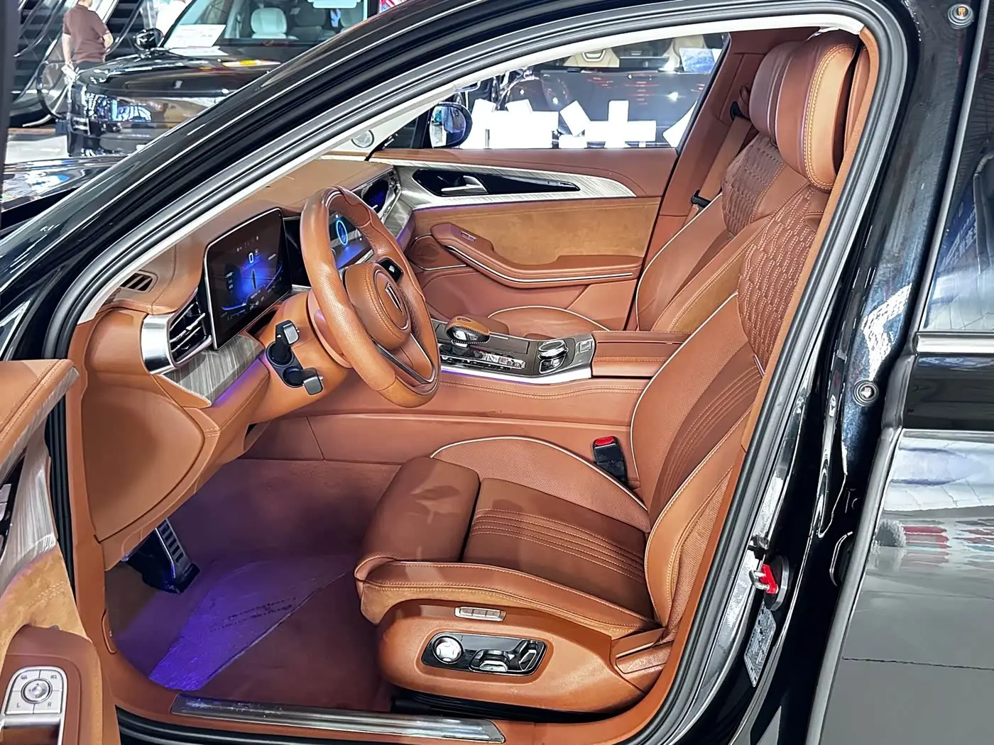 Hongqi H9 2021 — ფოტო 7/20