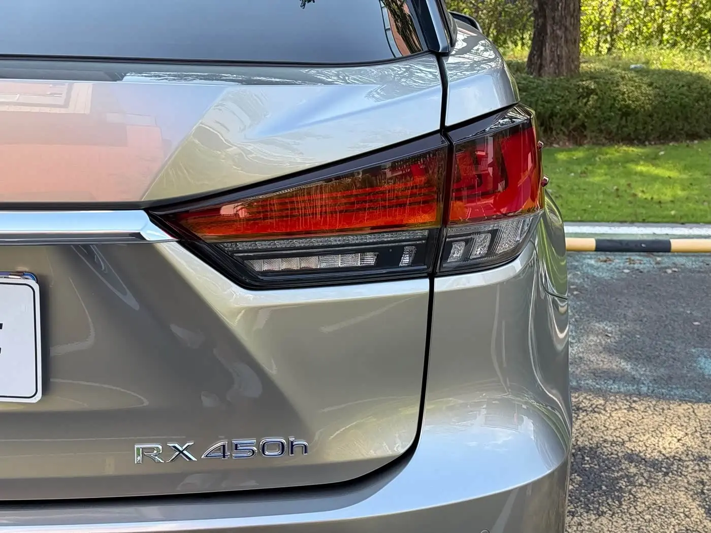 Lexus RX 2020 — Photo 9/16