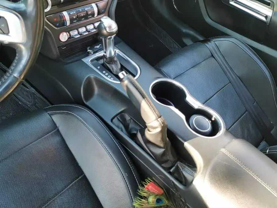 Ford Mustang 2019 — Photo 16/16