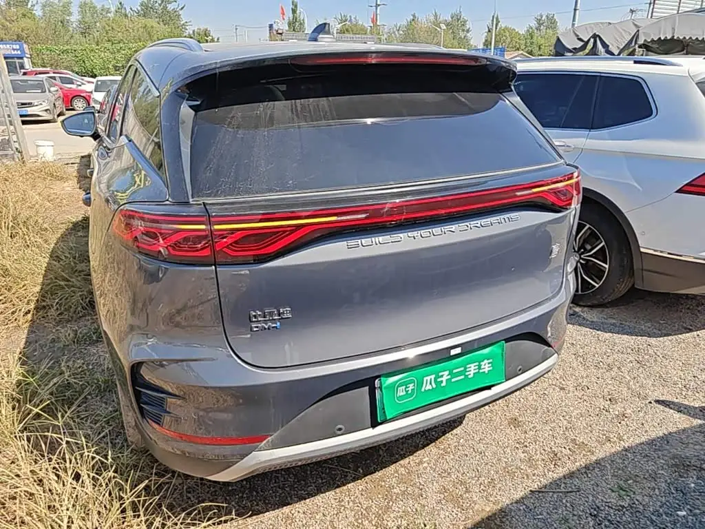 BYD Tang New Energy 2024 — Photo 6/20