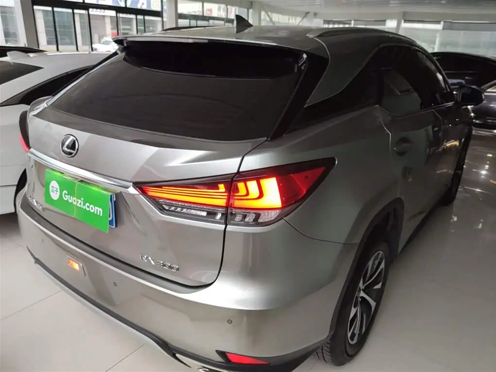 Lexus RX 2021 — ფოტო 7/20