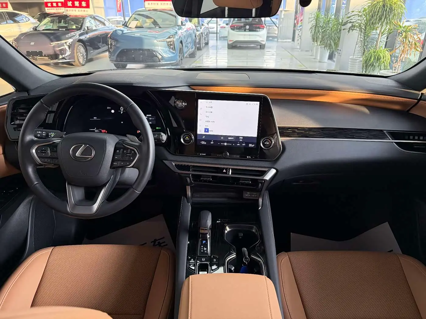 Lexus RX 2025 — Şəkil 10/16