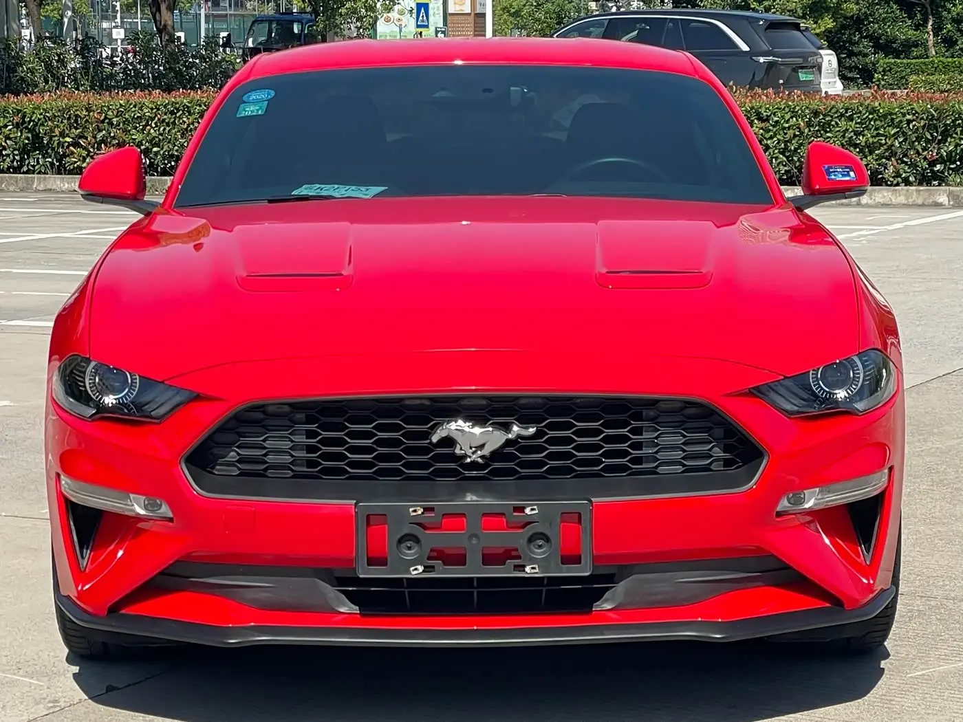 Ford Mustang 2019 — Фото 1/20
