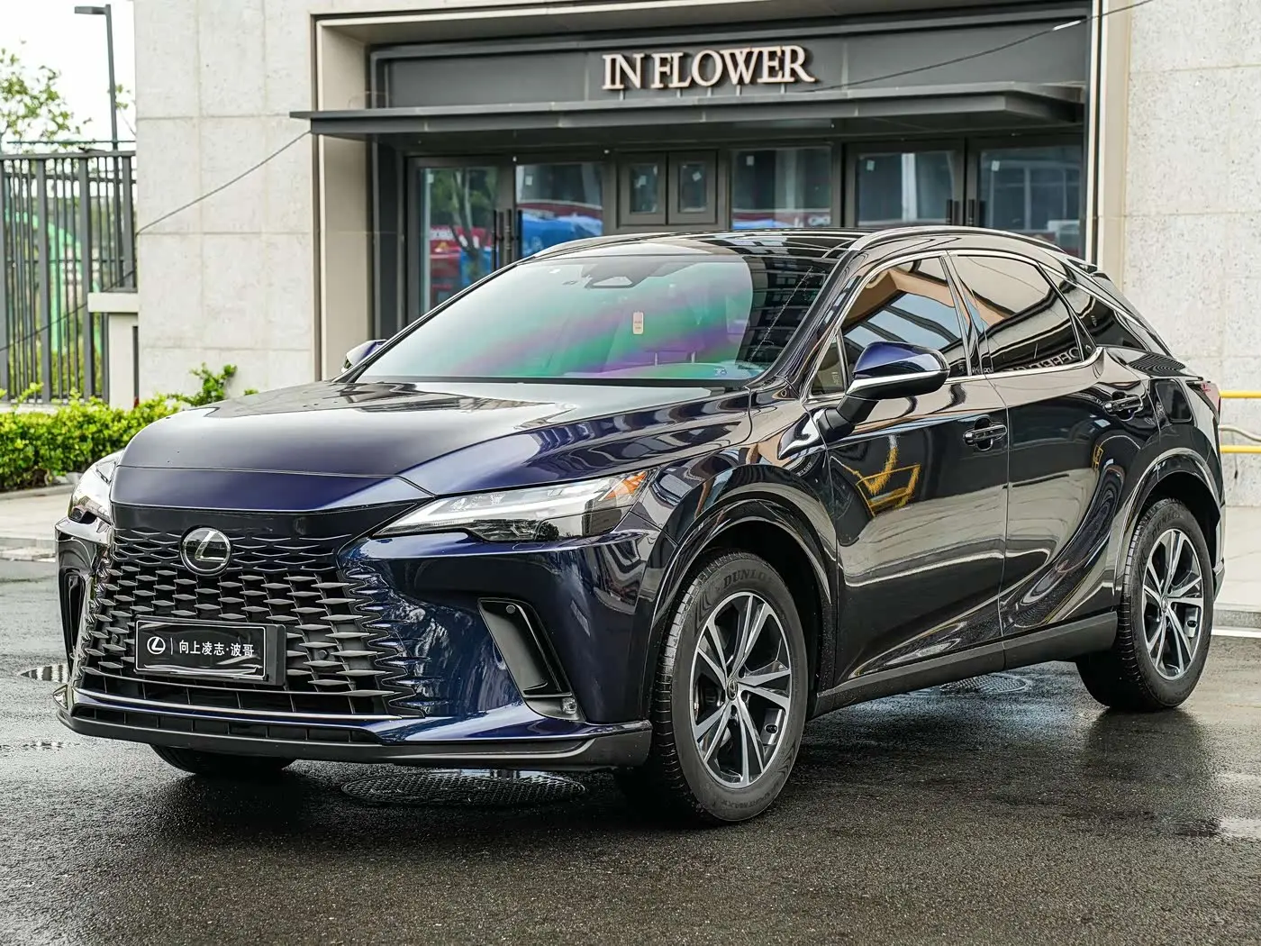 Lexus RX 2023 — Фото 1/20