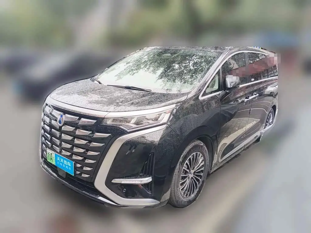Denza D9, 2024
