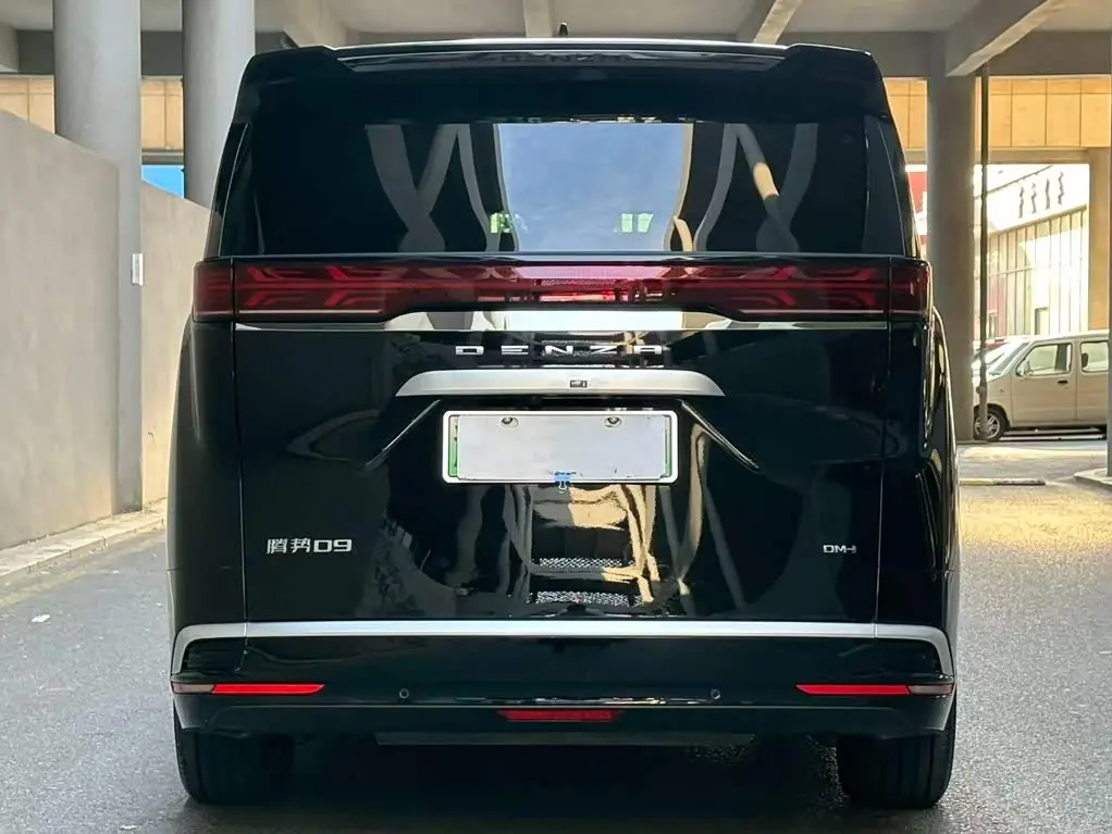 Denza D9 2024 — ფოტო 4/17