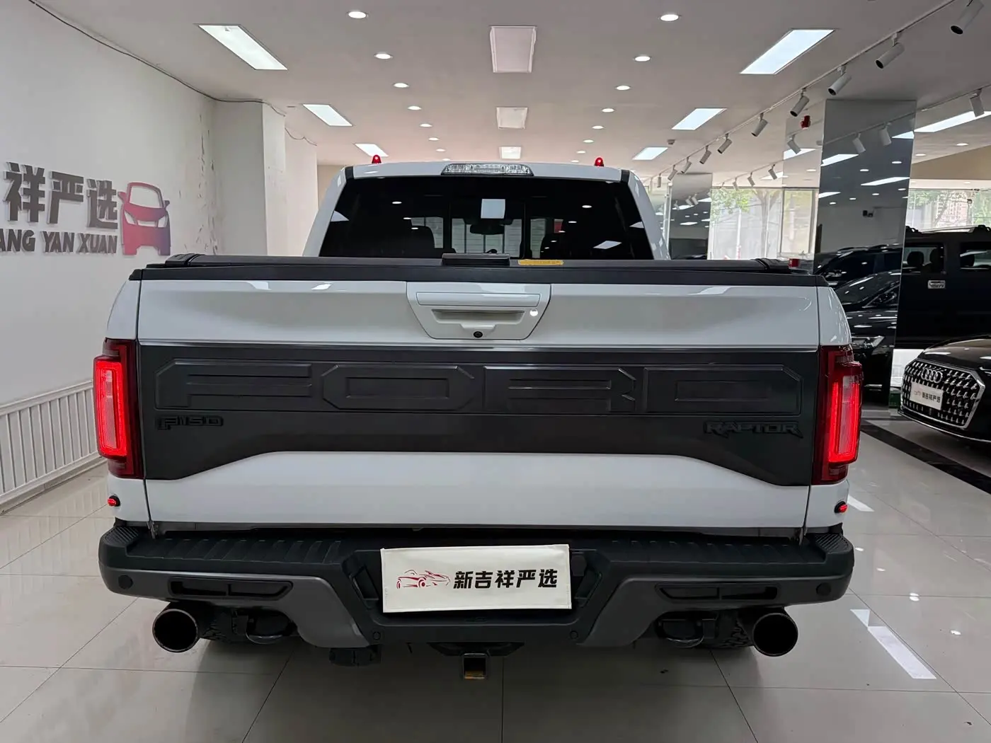 Ford F-150 Raptor 2018 — Photo 16/17