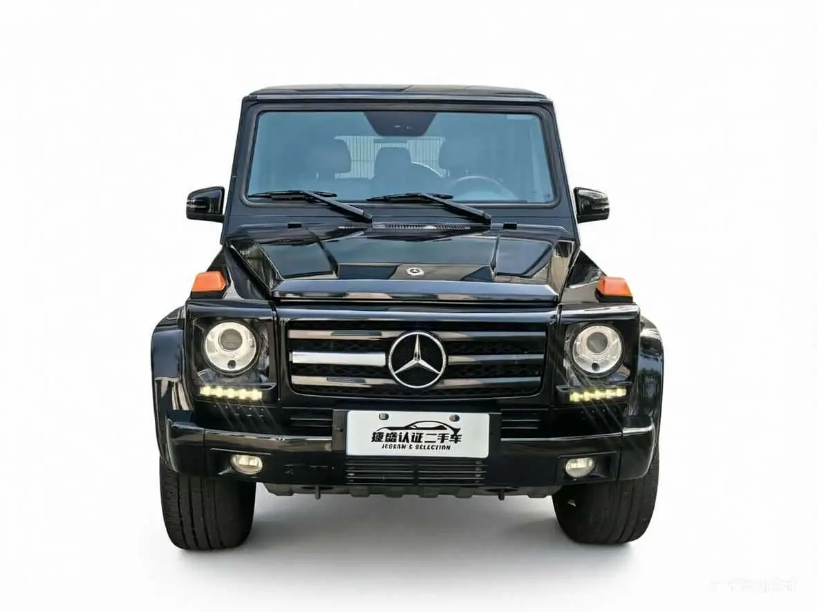 Mercedes-Benz G-Class 2010 — Фото 2/15