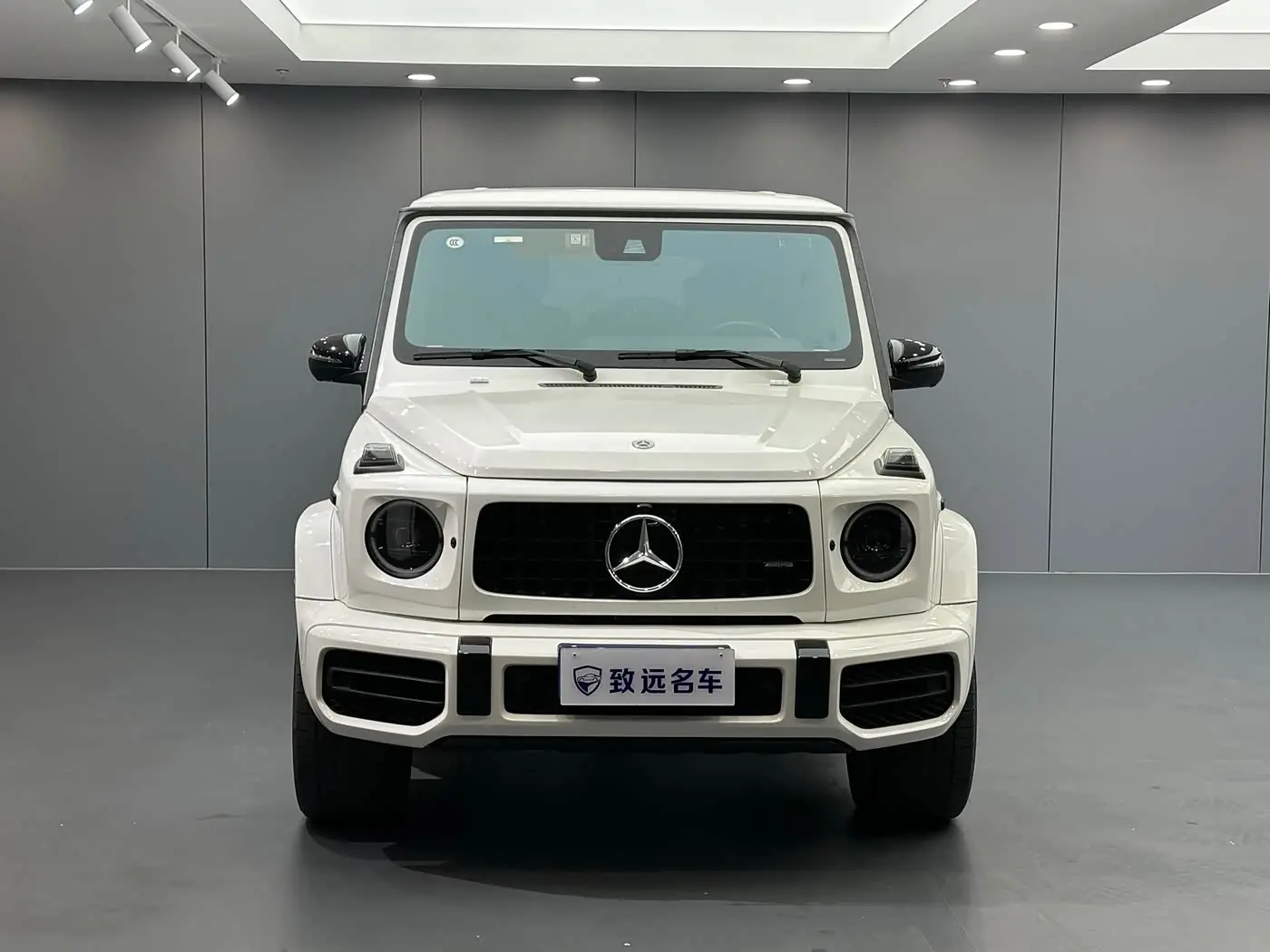Mercedes-Benz G-Class 2022 — Фото 2/20