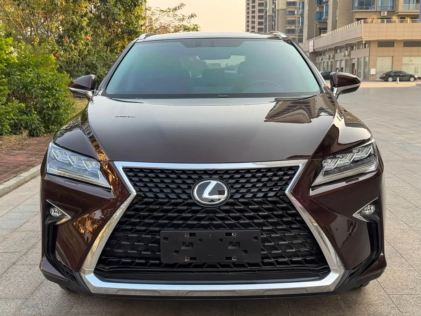 Lexus RX 2017 — Фото 1/20