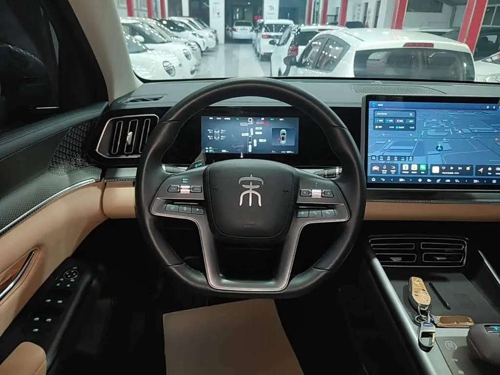 BYD Song Pro New Energy 2025 — Фото 10/19