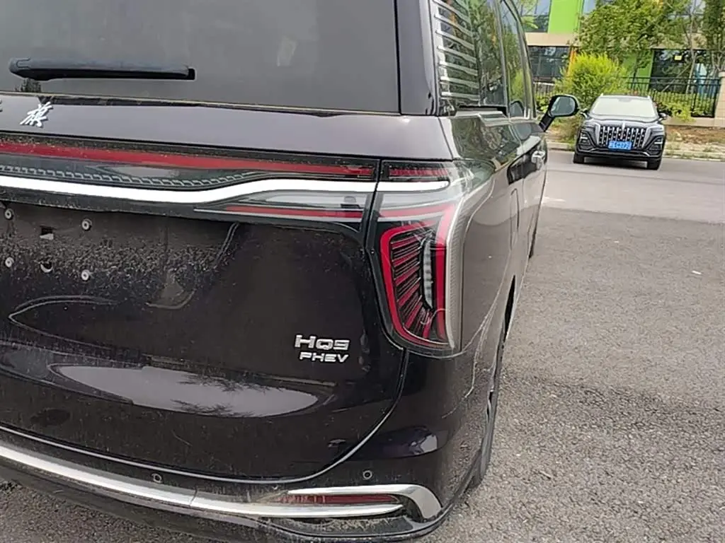 Hongqi HQ9 PHEV 2024 — Фото 8/20
